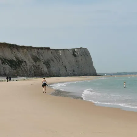 Les Hortensias Marquise