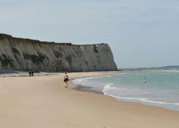 Les Hortensias Marquise